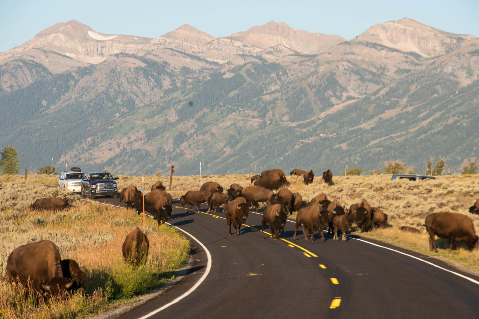 best time of year to visit jackson hole wy