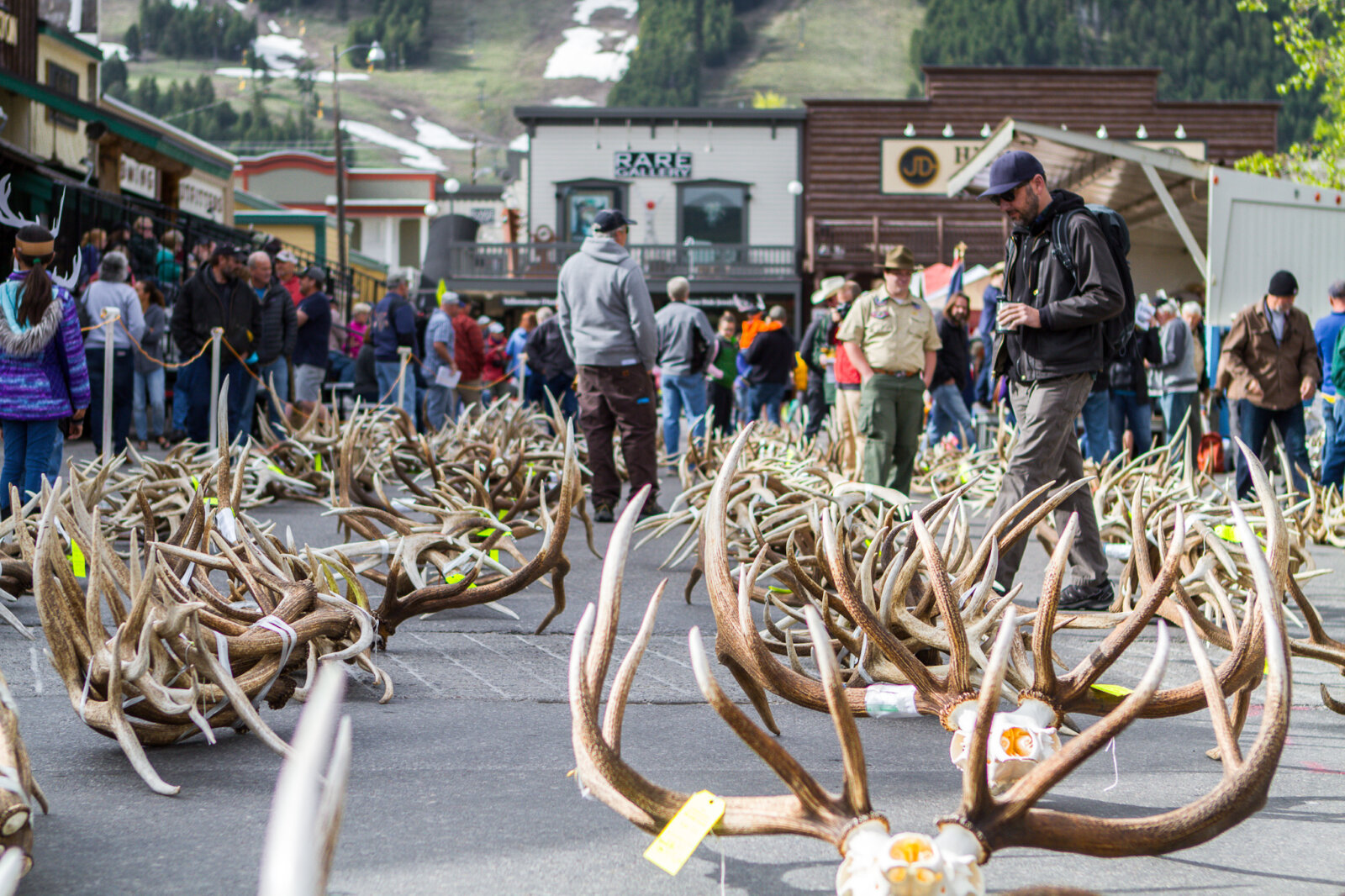 May 18 June 1st Old West Days Visit Jackson Hole