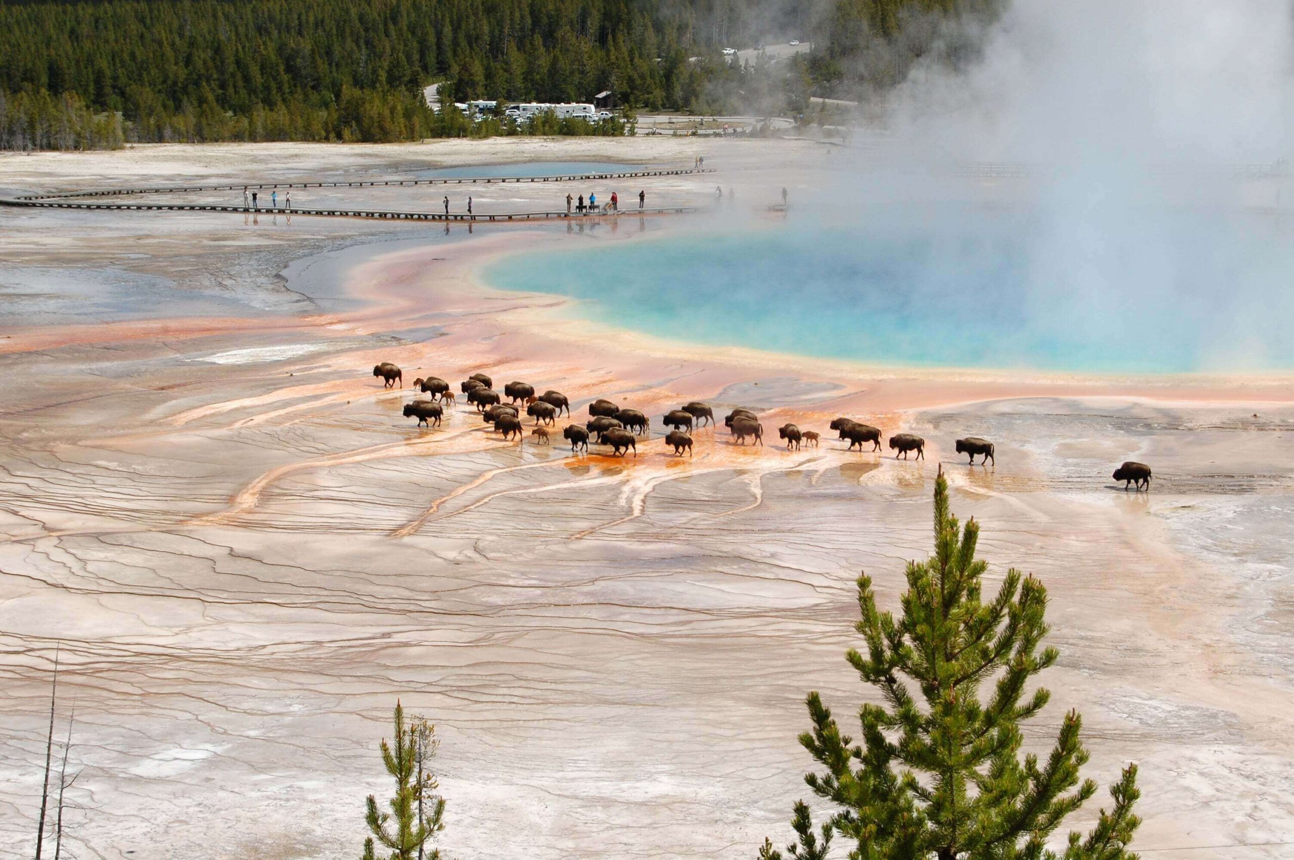 Can I Do Yellowstone In a Day? - Visit Jackson Hole