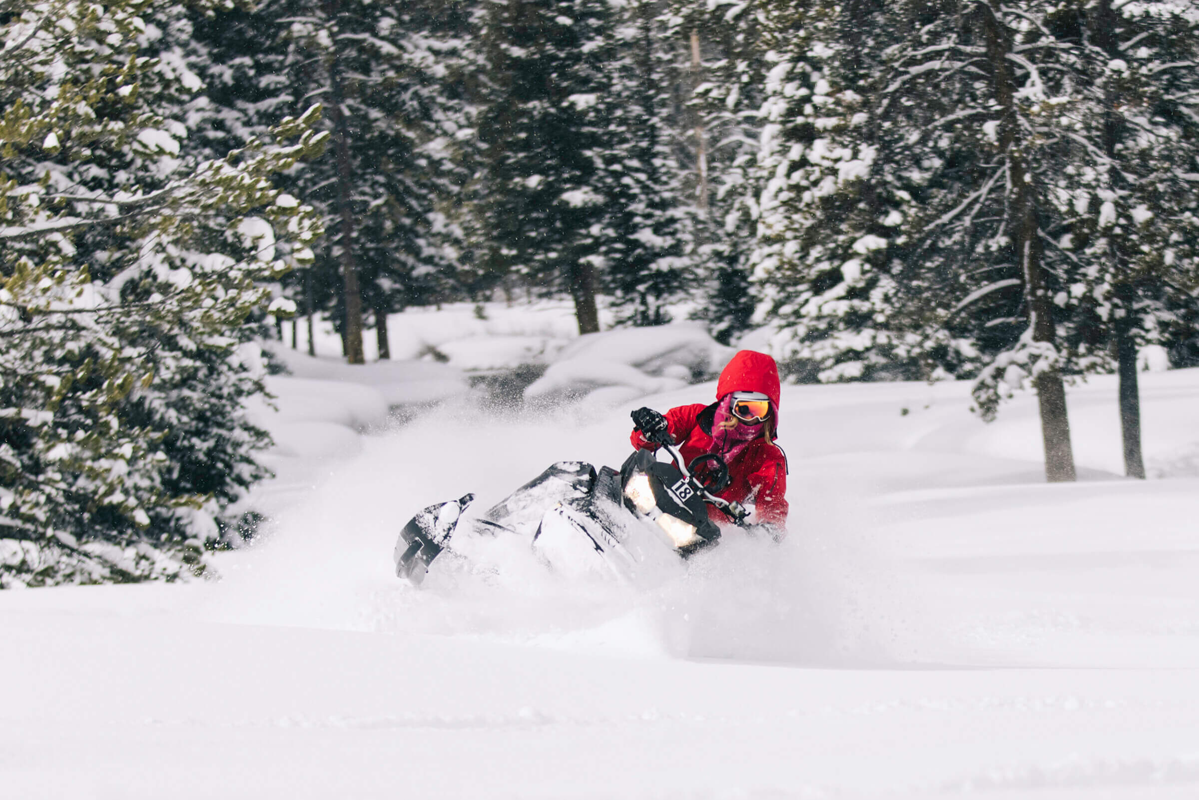 Snowmobiling in Jackson Hole.