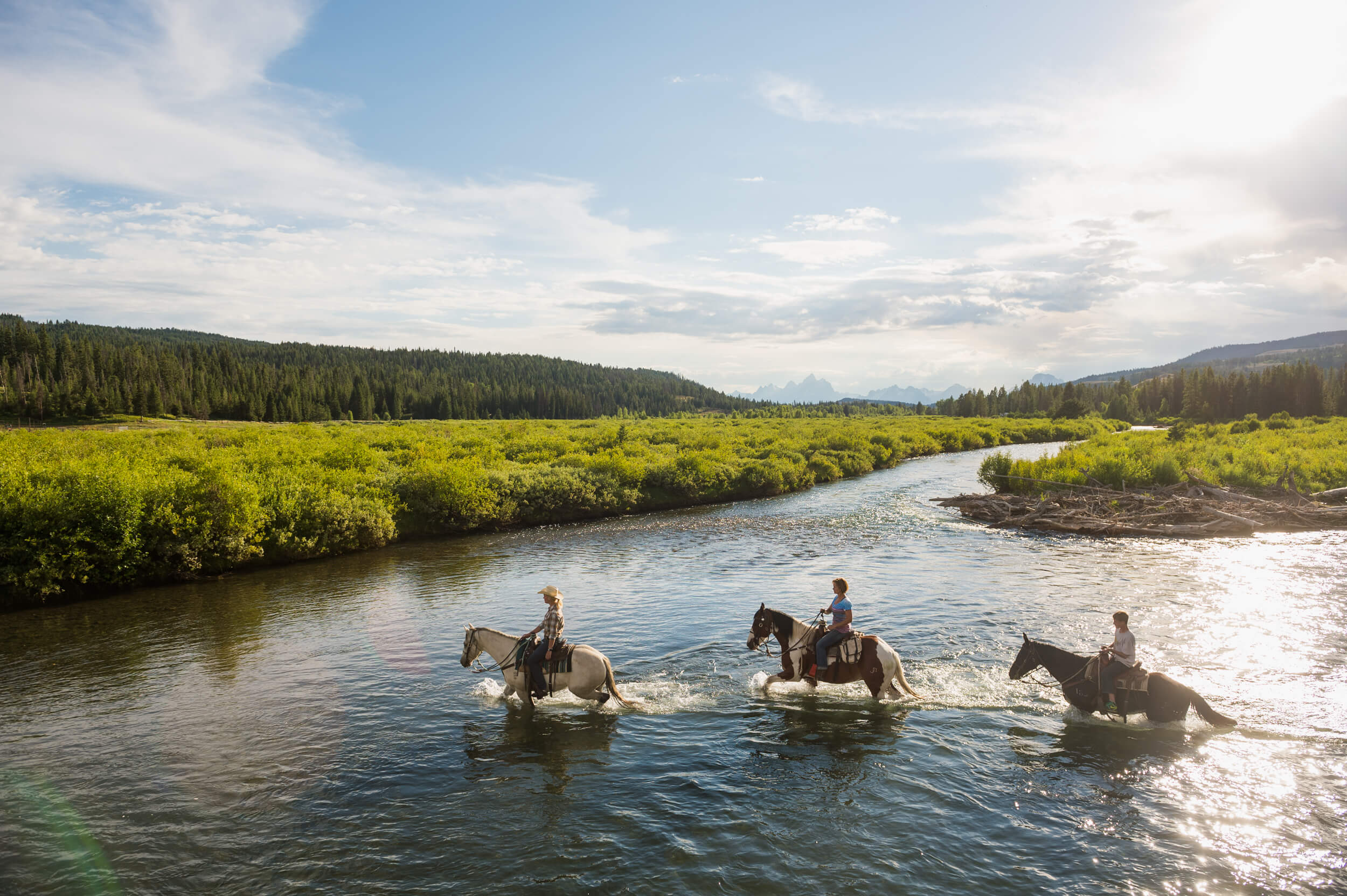 Horseback Riding Visit Jackson Hole