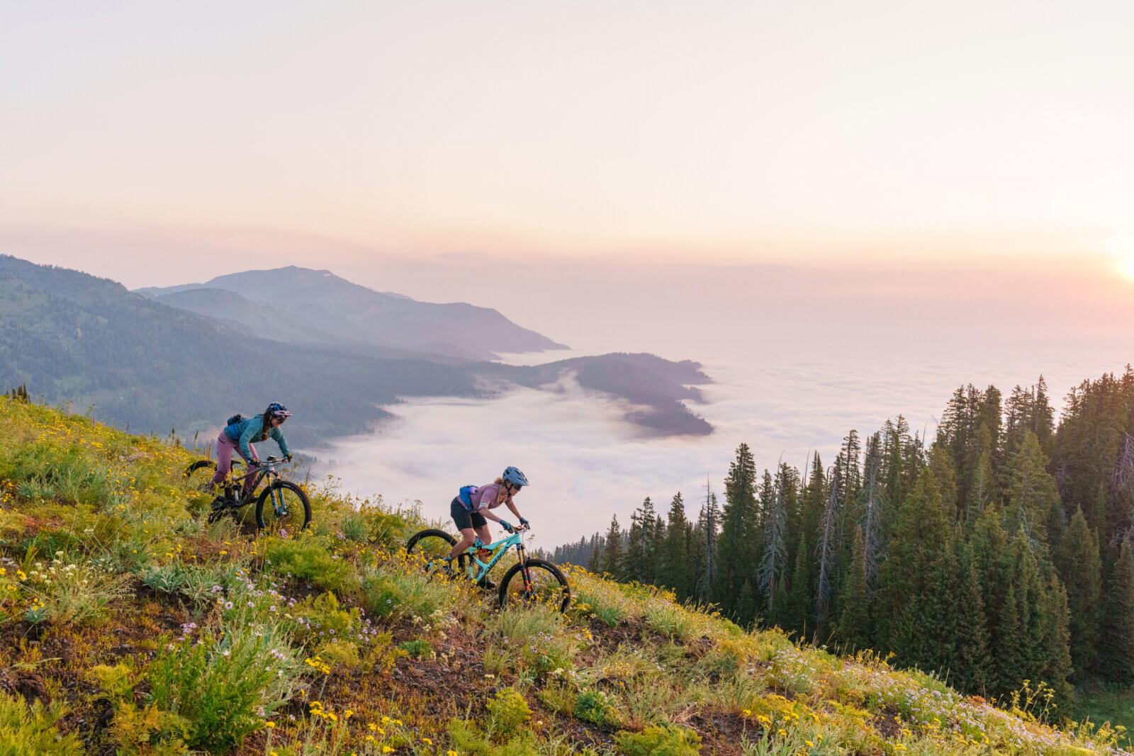 Mountain Biking Visit Jackson Hole