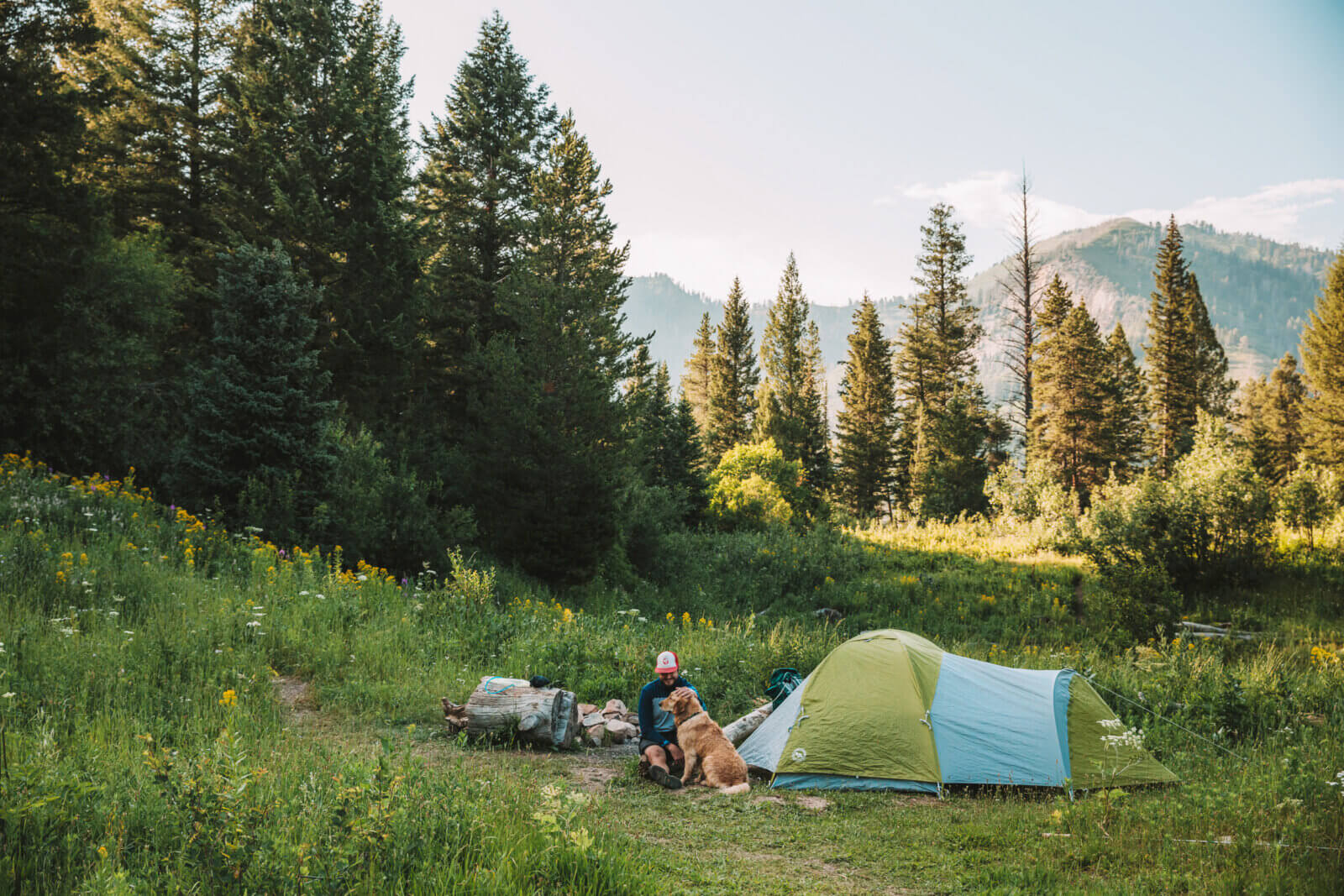 Photo by Shannon Corsi